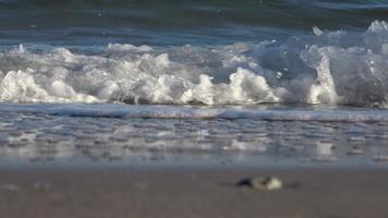 Beautiful view on sandy beaches at the baltic sea on a sunny day video