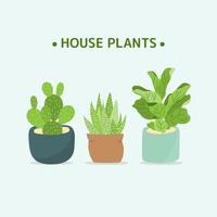 Hand drawn Houseplants in Pot Vector collection