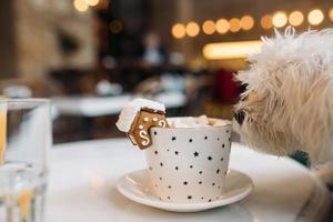 The mug with the christmas decorations and cookie on edge photo