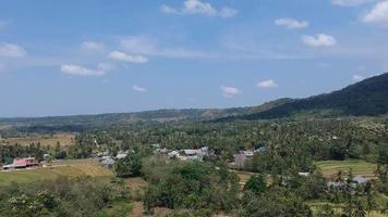 imagens de vídeo de drone da cena da floresta na aldeia. video