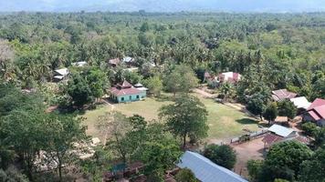 Drone video footage of the forest scene in the village.