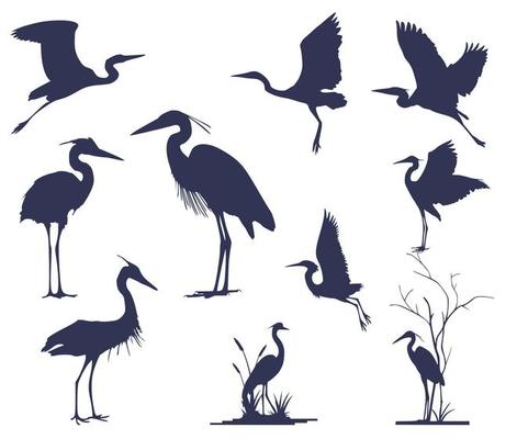 Heron Vector Art, Icons, and Graphics for Free Download
