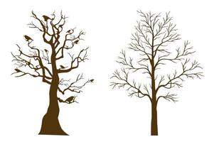 Trees without leaves. Autumn. Winter. vector