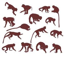 A set of monkey silhouettes vector