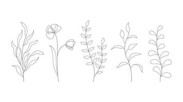 thin contour of wild herbs vector