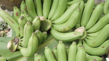 view of fresh green bunch of banana on banana tree leaf video