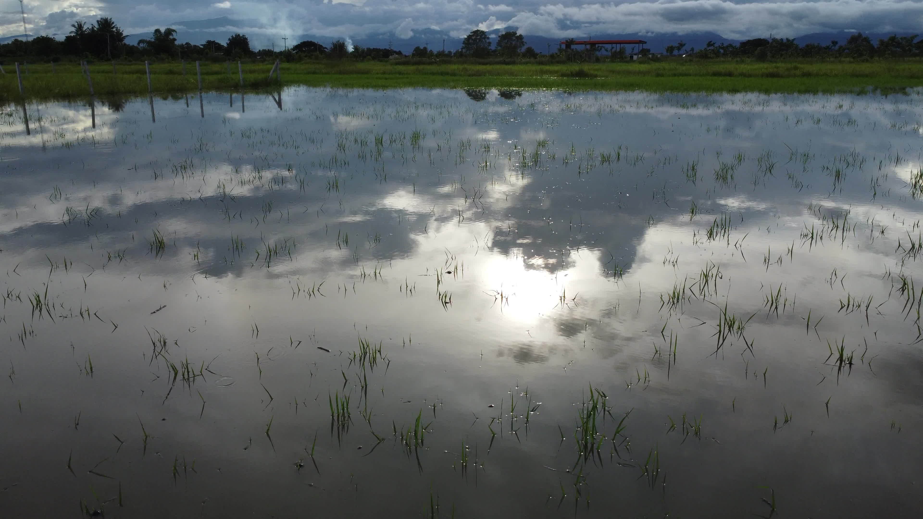 Aerial view of rice fields or agricultural areas affected by rainy