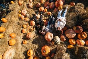 Young girls lie on haystacks among pumpkins. View from above photo