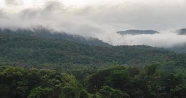 timelapse naturaleza nube niebla moviéndose en la colina de la montaña con bosque en invierno video