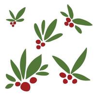 Set of red berry with green leaves as Christmas element. Hand draw color vector illustration