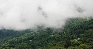 nevoeiro de nuvem de natureza timelapse movendo-se na colina de montanha com floresta no inverno video