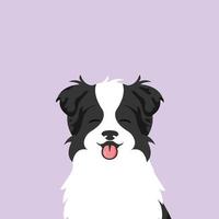 Portrait of a muzzle dog.  Australian sheepdog smiling with tongue out. Pets, dog lovers, flat vector style.