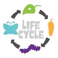Butterfly Life Cycle Stages Colorful Flat Vector Illustration
