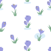 Floral seamless pattern. blooming spring flowers purple crocuses, saffron png