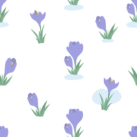 bloemen naadloos patroon. bloeiend voorjaar bloemen Purper krokussen, saffraan png