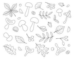 Autumn set, line art, hand-drawn, black color. Botanical leaves, acorns, berries, mushrooms, chestnut. Seasonal banner. September autumn. Vector illustration.