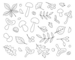 Autumn set, line art, hand-drawn, black color. Botanical leaves, acorns, berries, mushrooms, chestnut. Seasonal banner. September autumn. Vector illustration.