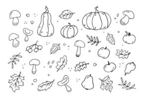 Autumn funny set hand-drawn. Vector black and white doodle-style elements with maple and oak leaves, acorns, pumpkin, apples, mushrooms. The illustration is isolated on a white background.