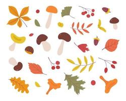 Autumn set, elements drawn by hand. Botanical leaves, acorns, berries, mushrooms, chestnut. Seasonal banner. September autumn. October party. November sale. Vector illustration.