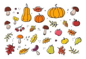 Autumn fun set, hand drawn. Vector colored elements in the style of doodles with leaves, acorns, pumpkin, apples, mushrooms. The illustration is isolated on a white background.