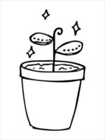 Cute hand drawn houseplant in a pot clipart. Plant illustration. Cozy home doodle vector