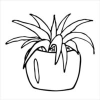 Cute hand drawn houseplant in a pot clipart. Plant illustration. Cozy home doodle vector