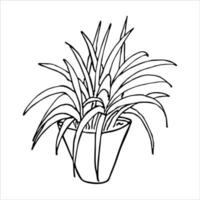 Cute hand drawn houseplant in a pot clipart. Plant illustration. Cozy home doodle vector