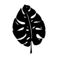 Simple tropical monstera leaf illustration. Hand drawn vector clipart. Botanical doodle