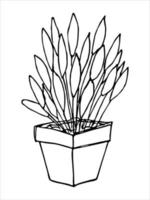 Cute hand drawn houseplant in a pot clipart. Plant illustration. Cozy home doodle vector