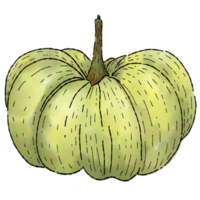 Pumpkins in watercolor style 2 png