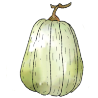 Pumpkins in watercolor style 3 png
