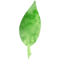 Watercolor simple green leaf. Transparent PNG clipart for design