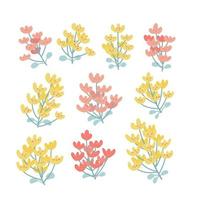 Set of yellow and pink tiny flowers on branches with leaves on a white background. Vector falt hand drawn illustration for spring and summer design.