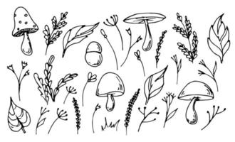 plantas forestales y setas al estilo garabato. ilustración vectorial dibujada a mano de hojas y ramas. boceto de hongos y agárico de mosca sobre fondo blanco aislado vector