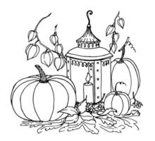 Vector sketch of autumn Pumpkin and vintage lantern for Halloween or thanksgiving day. Hand drawn linear botanical illustration for harvest festival. Black drawing on white isolated background