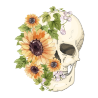 bloemen schedel sublimatie png,schedel hand- getrokken oud schets, vintage stijl, boho, retro, hippie, boeket! set,zonnebloemen waterverf png