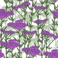 SEAMLESS WHITE VECTOR PATTERN WITH BLOOMING LILAC YARROW