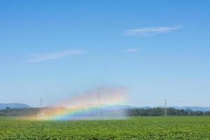 irrigation machine on a green field on a flat landscape with a rainbow photo