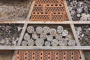 gran casa de abejas en el detalle de la naturaleza foto