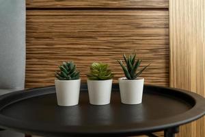 Succulent flowers standing in a modern bedroom decorating the interior photo