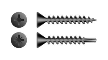 tornillo de rosca con pastillas y ranuras pozidrive vector