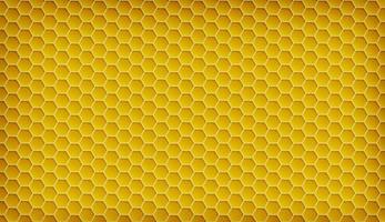 Natural bee honeycomb hex background vector