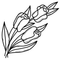 hermoso ramo de flores de tulipanes. ilustración vectorial contorno, dibujo lineal a mano. vector