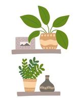 Set of shelf with home plants and home decor. Pucture and ceramic vase vector illustration