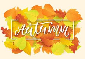 plantilla de banner de otoño con hojas de otoño brillantes vector