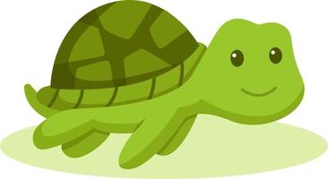 Little Turtle Character Design Illustration vector