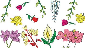 conjunto de colección de imágenes de flores con estilo dibujado a mano, hay rosas, tulipanes, glicinias, etc. adecuados para papel tapiz, portadas, tarjetas, empaques y libros. vector