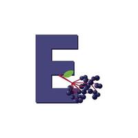 Letter E Alphabet Fruits Elderberry, Clip Art Vector, Illustration Isolated on a white background vector