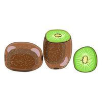 Kiwi fruit whole, half and slice in flat technique vector