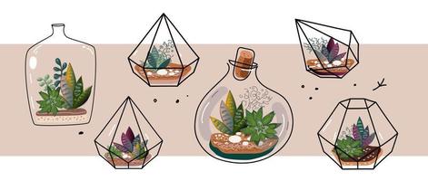 Modern glass florarium, geometric terrarium with succulents and cactus.  japanese decoration, home gardening. Vector doodle illustration.